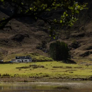 Landscape, Scotland, Spring