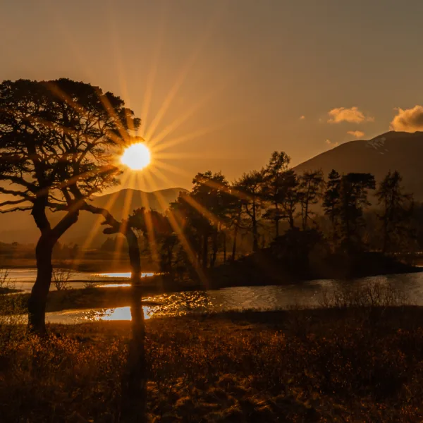 Landscape, Scotland, Spring