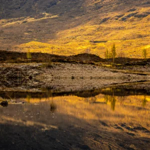 Landscape, Scotland, Spring