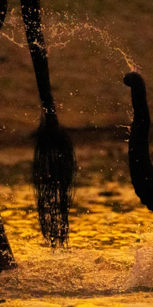 Baby, Botswana, Chobe, Elephants, Mamals, bathing