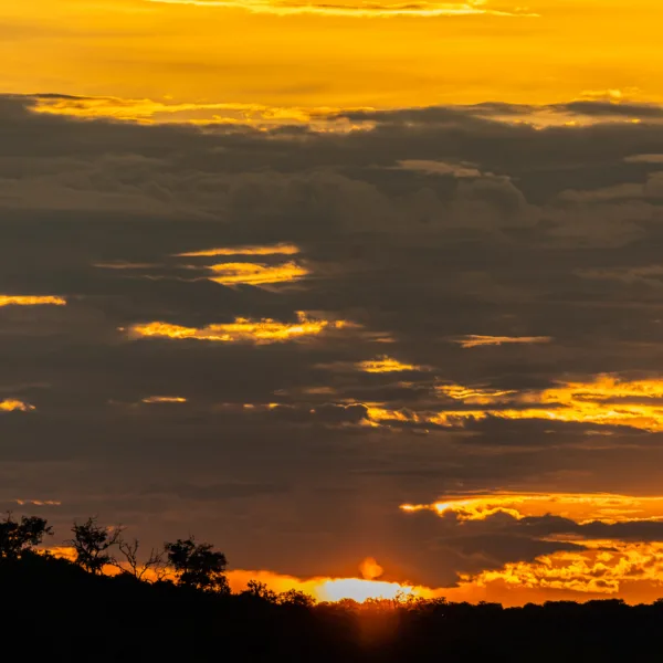 Botswana, Chobe, Sunset