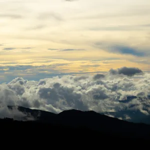 Costa Rica, Dota, El Guarco, Mountains, Rain Forest