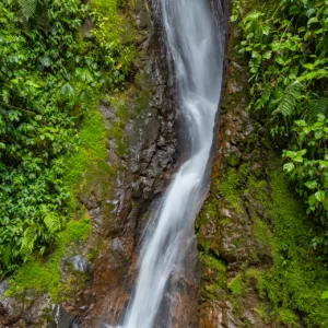 Arenal Volcano National Park, Costa Rica